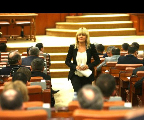 Dezvăluiri! Elena Udrea: În dosarul TelDrum nu erau "lucruri penale"
