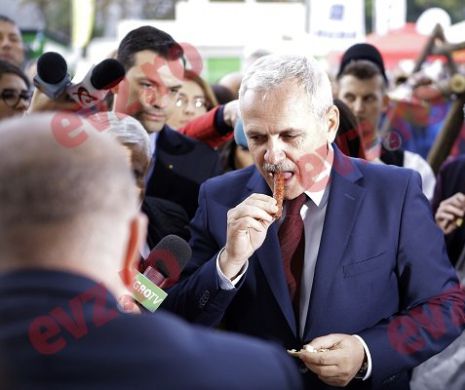 Dragnea duce „povestea porcului” în Comisia SRI