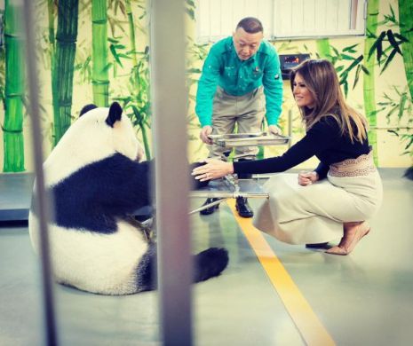 Imagini superbe cu Melania Trump şi un urs PANDA - Foto în articol