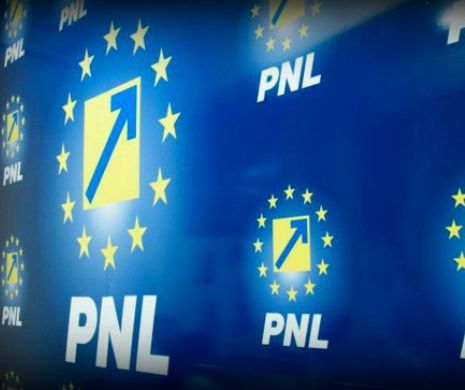 Liberalii au depus din nou moțiune simplă pe Energie