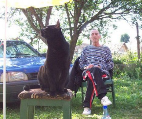 S-a stins din viață colegul nostru Dan Papij