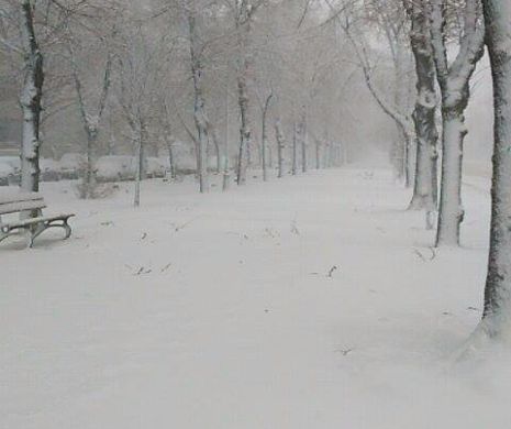 VIN NINSORILE! Autoritățile au intrat în ALERTĂ! Stratul de ZĂPADĂ a atins 20 de cm