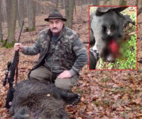 BIHOR. Un poliţist a împuşcat un câine fără lesă