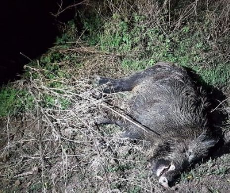 CERNOBÂLUL încă face victime. MISTREȚ RADIOACTIV împușcat la Suceava