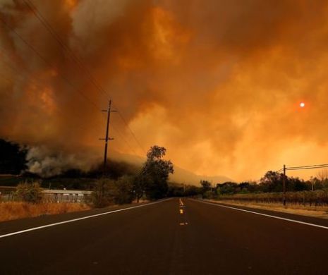 După cele mai puternice incendii din istoria SUA, BILANŢUL este dezastruos