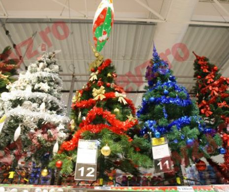 Împodobirea unui brad natural ajută mai mult Planeta decât cumpărarea unuia de plastic