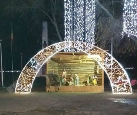 În municipiul grădină zoologică, o vacă a mâncat scena Naşterii Domnului - Galerie foto