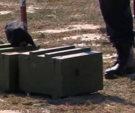 Muniţie neexplodată din Al Doilea Război Mondial descoperită în pădurile din judeţul Neamţ