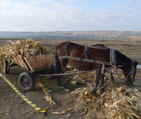 Petre Daea vrea să dea 2.000.000 lei unei reviste rurale