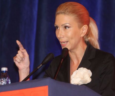 Plenul Camerei Deputaților a respins propunerea PNL de suspendare a ședinței