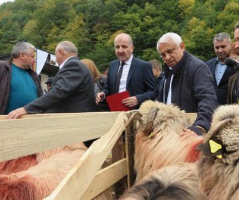 Politicienii spun lucruri trăsnite/ Retrospectiva anului 2017