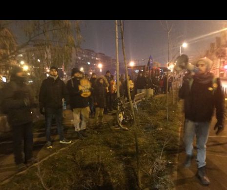 Protest la sediul PSD Timiș: ”România nu poate să fie raiul infractorilor!” I FOTO