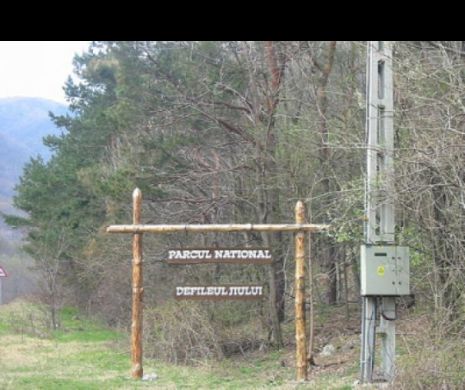 Râul Jiu, salvat de la distrugere. Curtea de Apel București a anulat autorizările pentru hidrocentrală