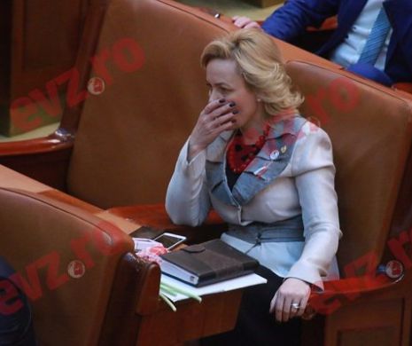 Siguranța românilor, o problemă MAJORĂ. Anunțul făcut de Carmen Dan