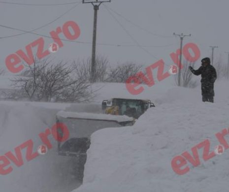 VREMEA. Alertă ANM! Cod galben de VISCOL în CINCI JUDEȚE