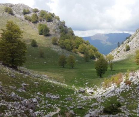 Cum devii montaniard cu telefonul în mână. Aplicație gratuită I FOTO