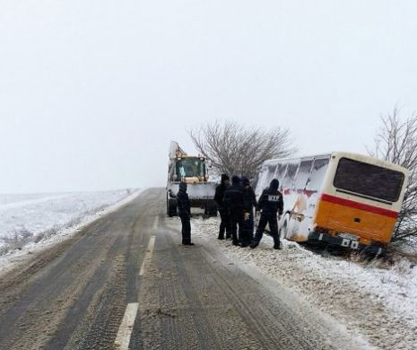 DOBROGEA, sub VISCOL și NĂMEȚI