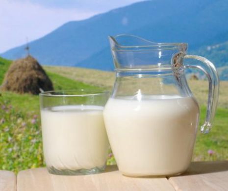 Lapte cu Salmonella pe rafturi. ALERTĂ DE ULTIMĂ ORĂ. Au fost anunţate primele măsuri