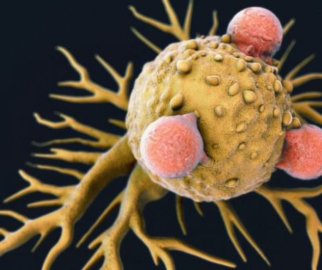 PAS URIAȘ spre VINDECAREA CANCERULUI. Cumplita boală, DEPISTATĂ LA TIMP cu un test de sânge. BREAKING NEWS în MEDICINA MONDIALĂ