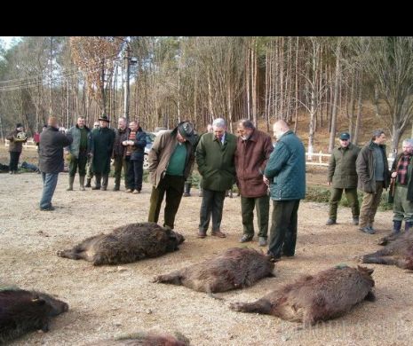 Ţiriac se întoarce la BALC pentru două partide de VÂNĂTOARE