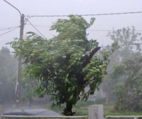 VREMEA. ANM, avertisment de ultimă oră. RAFALELE de VÂNT ating viteze AMEȚITOARE