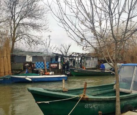 Alertă în Delta Dunării. Incendiu, la Sulina, stins de polițiștii de frontieră