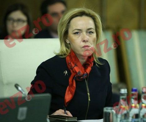 Carmen Dan, FRONT comun cu Olguța Vasilescu. Cine sunt VINOVAȚII pentru SCĂDERILE SALARIALE