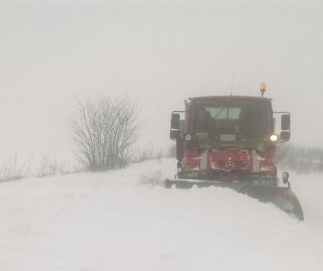 CONSTANȚA, sub COD PORTOCALIU de GER și NINSORI