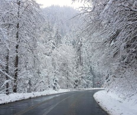 FRIGUL POLOR LOVEȘTE România! GER NĂPRASNIC în toată ţara şi NISIORI VISCOLITE. Avertismentul ISU