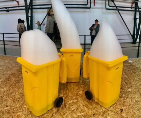 Fundaţia Art Encounters caută director artistic