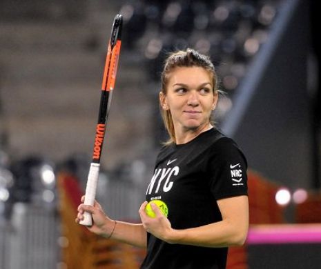 Halep s-a recuperat miraculos pentru Doha