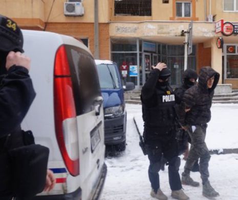 Operațiunea ”Hydra” în plină desfășurare. Traficanții de droguri din două județe, prinși cu sute de doze