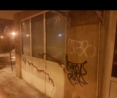 Sediu PSD, VANDALIZAT de huligani - FOTO