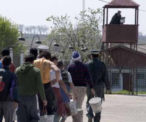 SIDICATUL DIN PENITENCIARE REACȚIONEAZĂ!78 de agresiuni la adresa personalului din penitenciare în 2017
