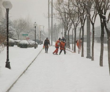 VREMEA. Avertizare de ULTIMĂ ORĂ de la ANM! Ninsorile SE MUTĂ, meteorologii sunt în ALERTĂ. Prognoza pe WEEKEND este alarmantă
