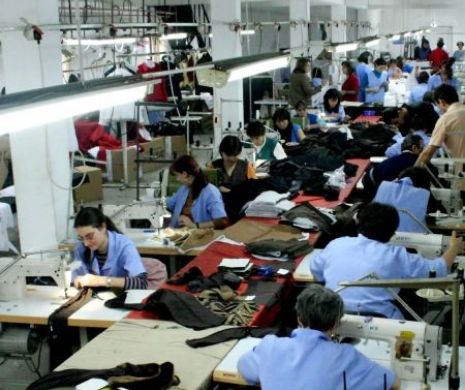 313.000 de noi LOCURI de MUNCĂ create în FEBRUARIE