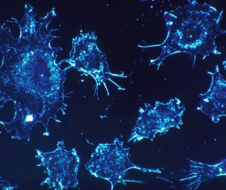 Ce sunt CENTRIOLII care duc la CANCER