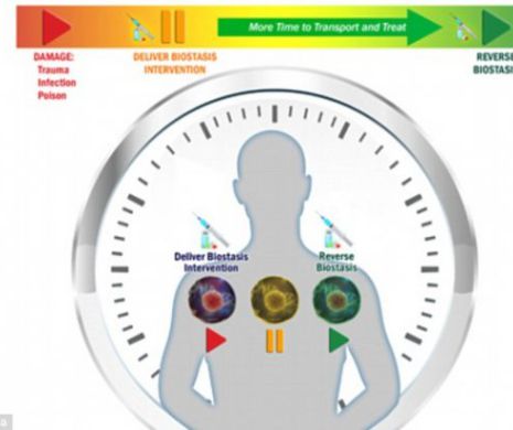 Cercetătorii SPERĂ  să „încetinească timpul biologic”