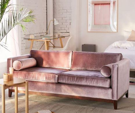 Cum readucem um readucem rozul în casă