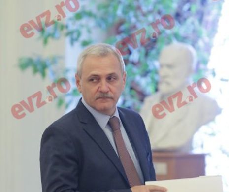 Dragnea, întâlnire cu președintele Serbiei