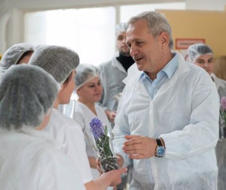 EXCLUSIV: Solicitarea de RADIERE a PSD pusă la cale de LIDERI ai partidului căzuți în DIZGRAȚIA lui Liviu DRAGNEA