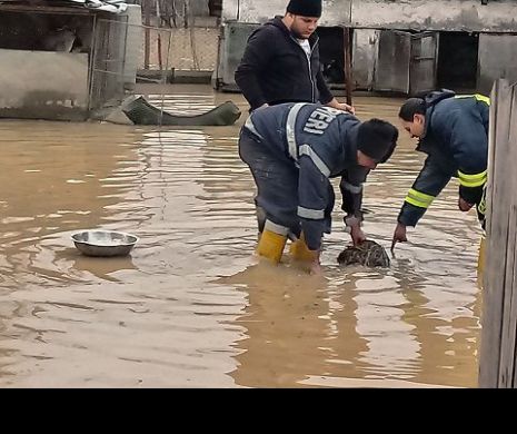 INUNDAŢIILE cuprind ŢARA. Alte două judeţe sunt AFECTATE de APĂ