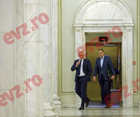 Liviu Dragnea și-a securizat fotoliul din Kiseleff