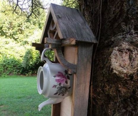 Pregătește-ți grădina ca-n Țara Minunilor