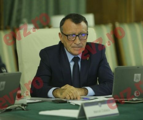 Referendumul pentru familie, organizat în luna mai