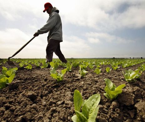 România, cel mai IEFTIN PĂMÂNT