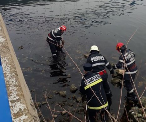 Tragedie la Medgidia. O angajată a primăriei s-a sinucis