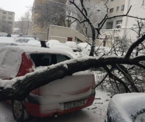 URGIA ALBĂ nu PĂRĂSEȘTE România. Anunțul ÎNGRIJORĂTOR al ANM. Cod portocaliu de NINSORI VISCOLITE