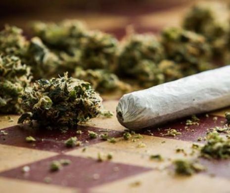 ANCHETĂ după ce un COPIL a mâncat o PRĂJITURĂ cu MARIJUANA