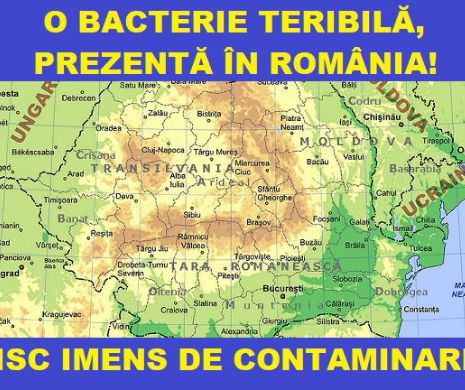 CARTOFI din Egipt INFECTAȚI cu o BACTERIE PERICULOASĂ, opriți de la import în portul Constanța
